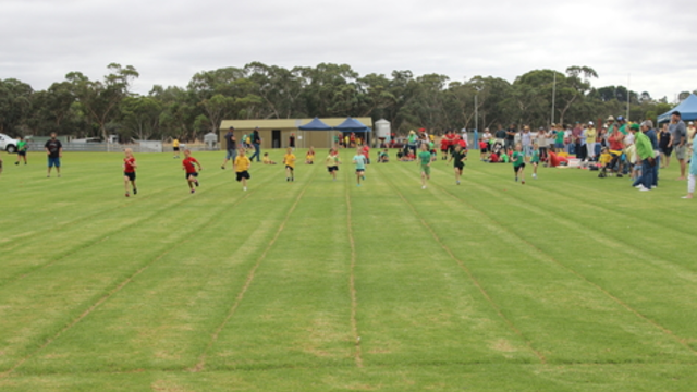 Widescreen medium lucindale v1