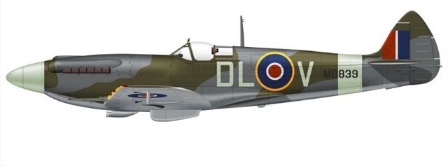 Normal a spitfire mk xiv as flown by no. 91 sqn 1944