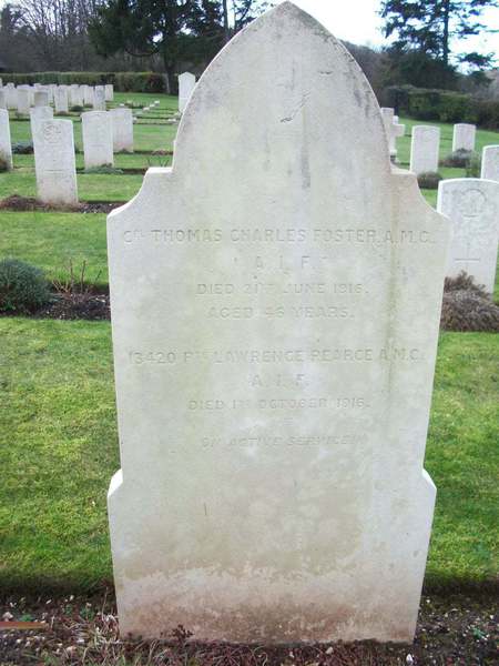 Spinal meningitis essay 03 picture