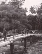 Medium malaya bridge crossing