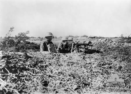Normal vickers mg awm image e03268