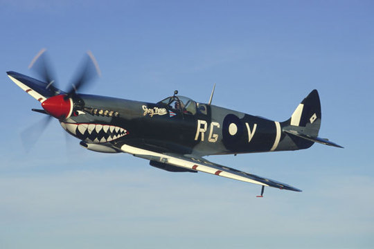 Normal spitfiremk8 1