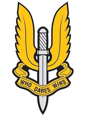 Big thumb sas logo