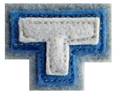 Big thumb medium colour patch 248th battalion 19421945 mini am00451a generic 200x163