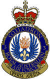 Big thumb raaf 3sqn 1
